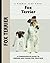 Fox Terrier (Comprehensive Owner's Guide)