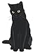 Black Cat Notebook: Journal...