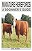 MINIATURE HEREFORDS: A BEGI...