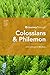 Journey Through Colossians & Philemon: 30 Biblical Insights By Mike Raiter (Journey Through Series: Pauline Epistles)