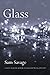 Glass: A Novel