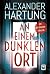 An einem dunklen Ort (Ein Jan-Tommen-Thriller) (German Edition)