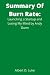 Summary Of Burn Rate by Albert D. Luke