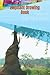 Elephant Drowing Book