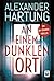 An einem dunklen Ort (Ein Jan-Tommen-Thriller 10) (German Edition)