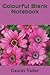 Colourful Blank Notebook