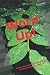 Word Up!: Improve your lang...