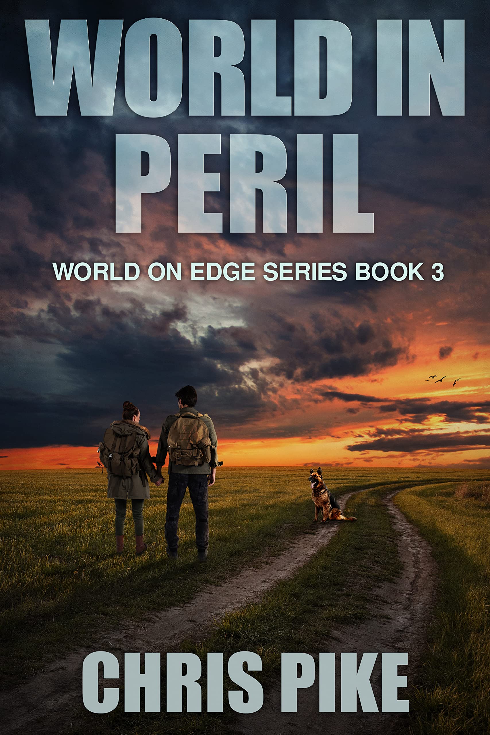 World in Peril: A Post-Apocalyptic EMP Survival Thriller (World on Edge Book 3)