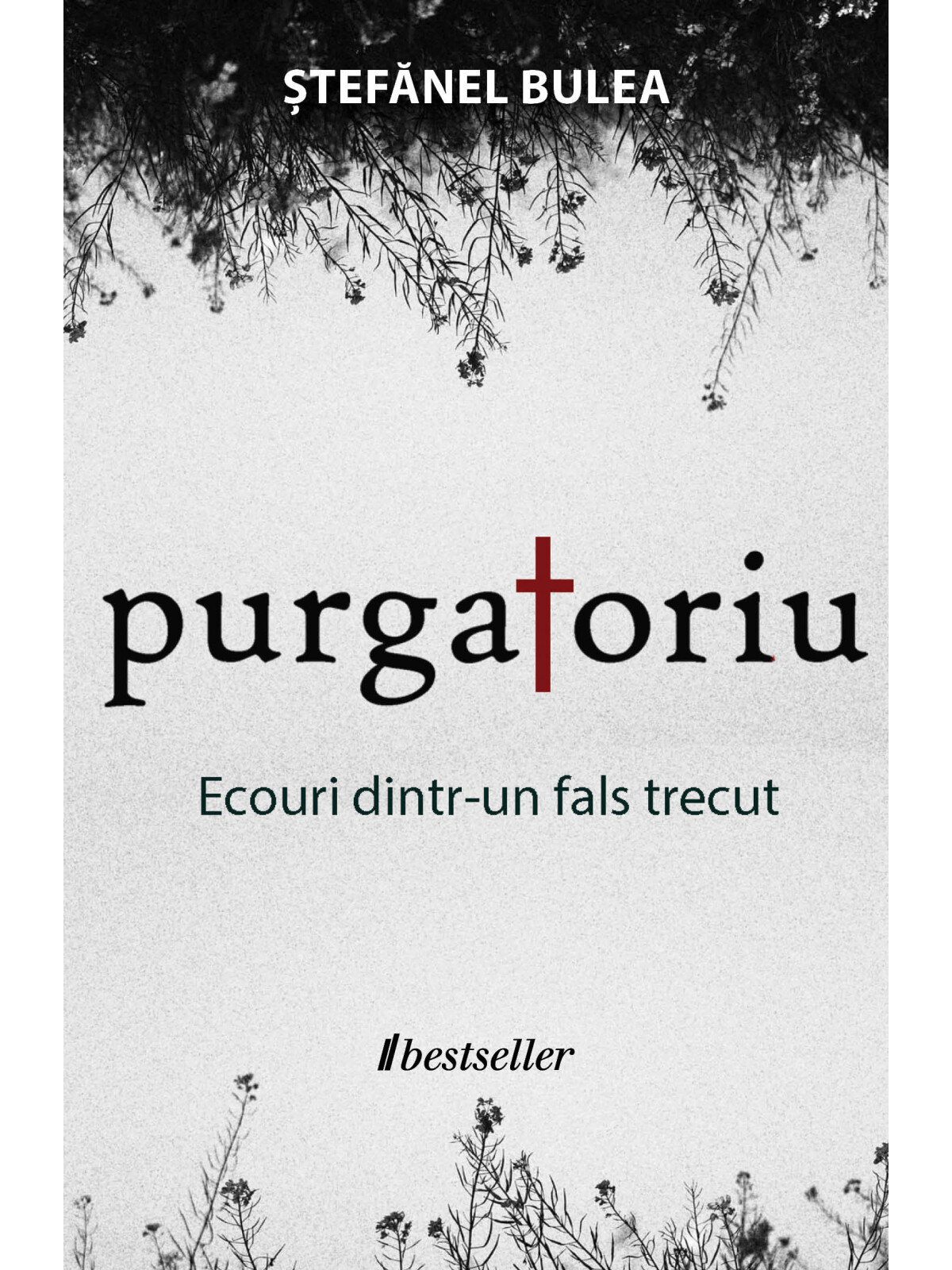 Purgatoriu - Ecouri dintr-un fals trecut (Paperback)