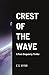 Crest of the Wave: A Post-Singularity Thriller