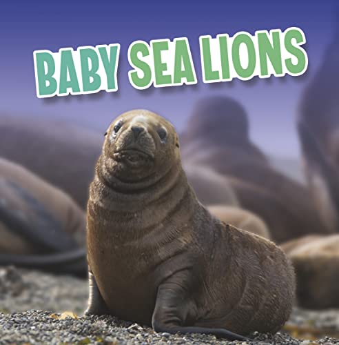 Baby Sea Lions (Baby Animals)