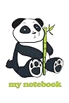 Panda notebook