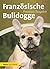 Franzoesische Bulldogge Pre...