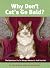 Why Don't Cats Go Bald