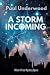 A Storm Incoming: When A True Mystery Opens