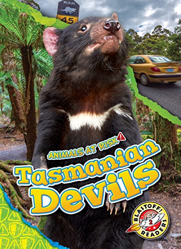 Tasmanian Devils (Animals at Risk)