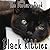 The Picture Of Black Kittie...