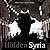 Hidden Syria by Marie Colvin