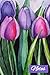 Tulips Notebook