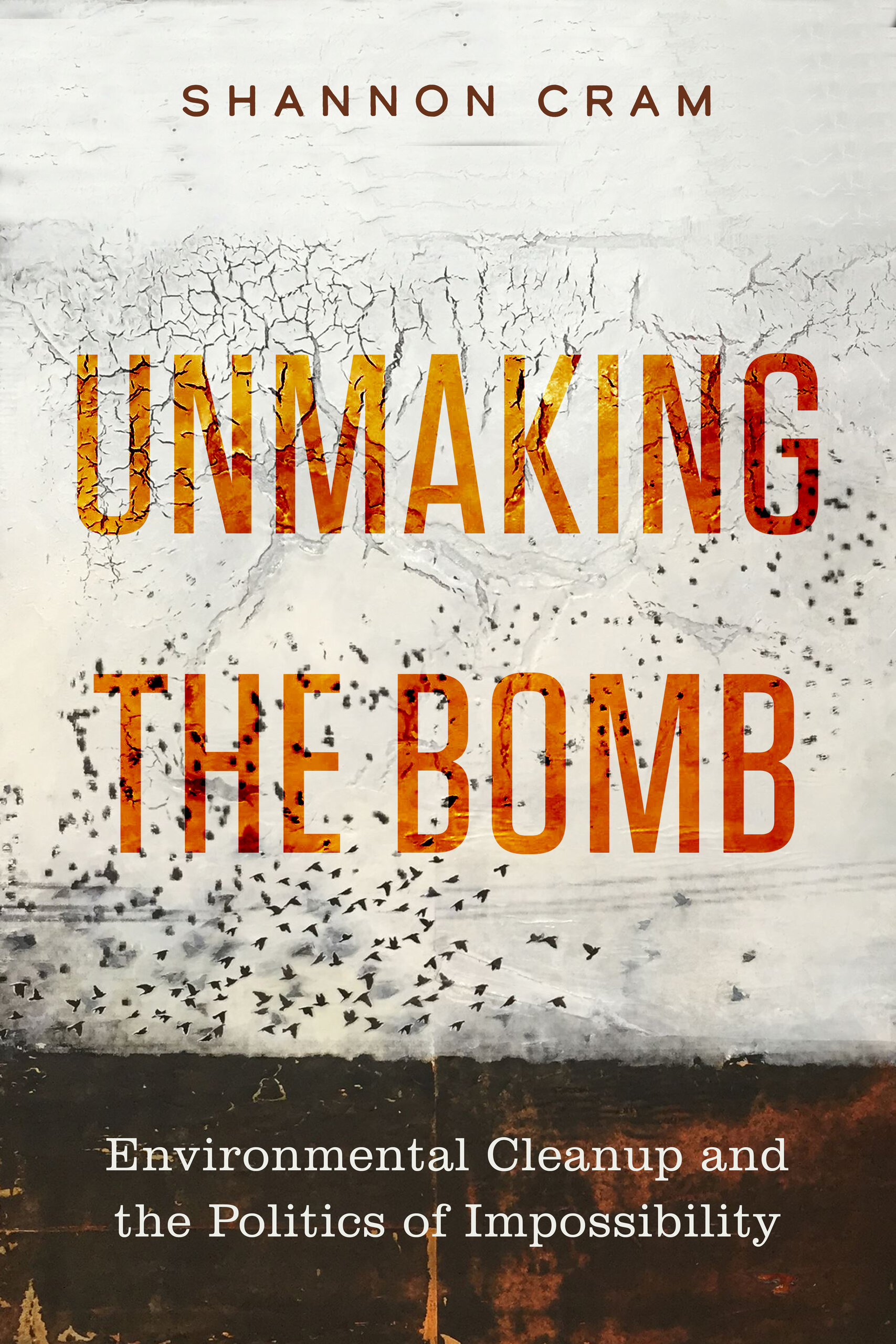 Unmaking the Bomb: Environmental Cleanup and the Politics of Impossibility (Critical Environments: Nature, Science, and Politics Volume 14)
