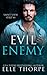 Evil Enemy (Saint View Strip, #1)