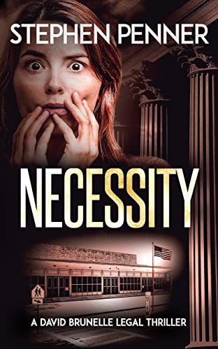 Necessity (David Brunelle Legal Thriller #16)