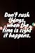 Don't rush things when the time is right it happens. by Someone