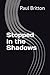 Stopped in the Shadows