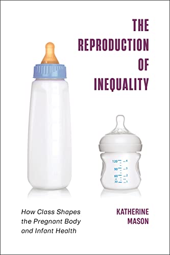 The Reproduction of Inequality: How Class Shapes the Pregnant Body and Infant Health (Health, Society, and Inequality)