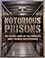 Notorious Prisons : An Inside Look at the Worlds Most Feared Institutions