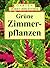 Grüne Zimmerpflanzen