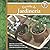 ESCUELA DE JARDINERÍA: cómo ubicar las plantas en un jardín (ECOLOGIA, MEDIO AMBIENTE Y HUERTA, QUE ESTA PASANDO EN EL MUNDO, Y PROPUESTAS PRACTICAS PARA LOS TIEMPOS ACTUALES.) (Spanish Edition)