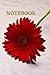 NOTEBOOK: red rose flower n...