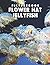 Flower Hat Jellyfish Pictur...
