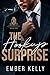 The Hookup Surprise (Boston Billionaires, #2)