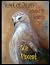 Hawk at Dawn: Selected SE W...
