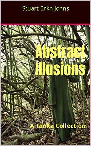 Abstract Illusions - A Tanka Collection