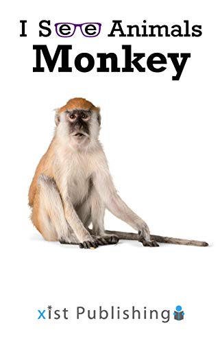 Monkey (I See Animals)