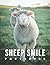 A Photo Book Of Sheep Smile...