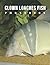 The Photo Of Clown Loaches ...