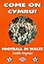 Come on Cymru!: Football in...