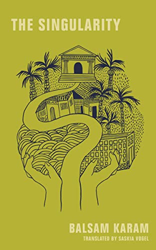 The Singularity (Paperback)