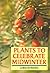 Plants to Celebrate Midwinter