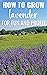 How to Grow Lavender for Fun and Profit by Adriana Copaceanu