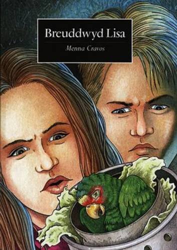Breuddwyd Lisa (Paperback)