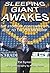 Sleeping giant awakes: the ...