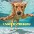 Underwater Dogs Calendar 20...
