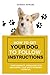 How to Get Your Dog to Foll...