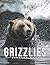 Picture Of Grizzlies: Compe...