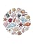 Seashell Collector Lined No...